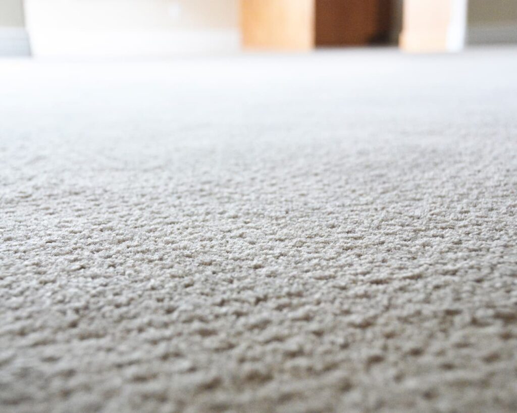 Clean Carpet.