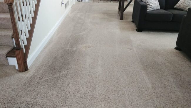 Carpet before cleaning.